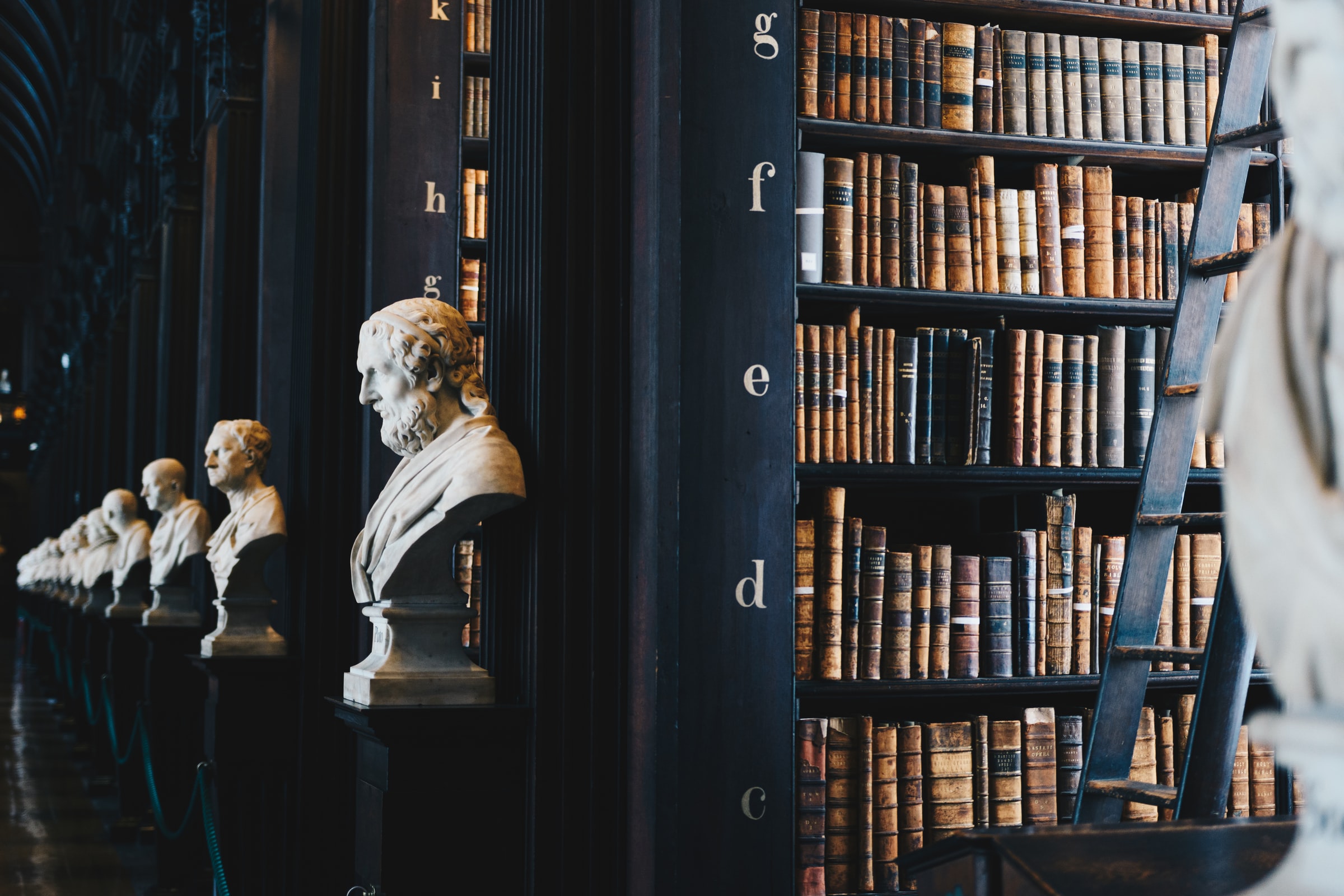 giammarco-boscaro-zeH-ljawHtg-unsplash giammarco-boscaro-zeH-ljawHtg-unsplash